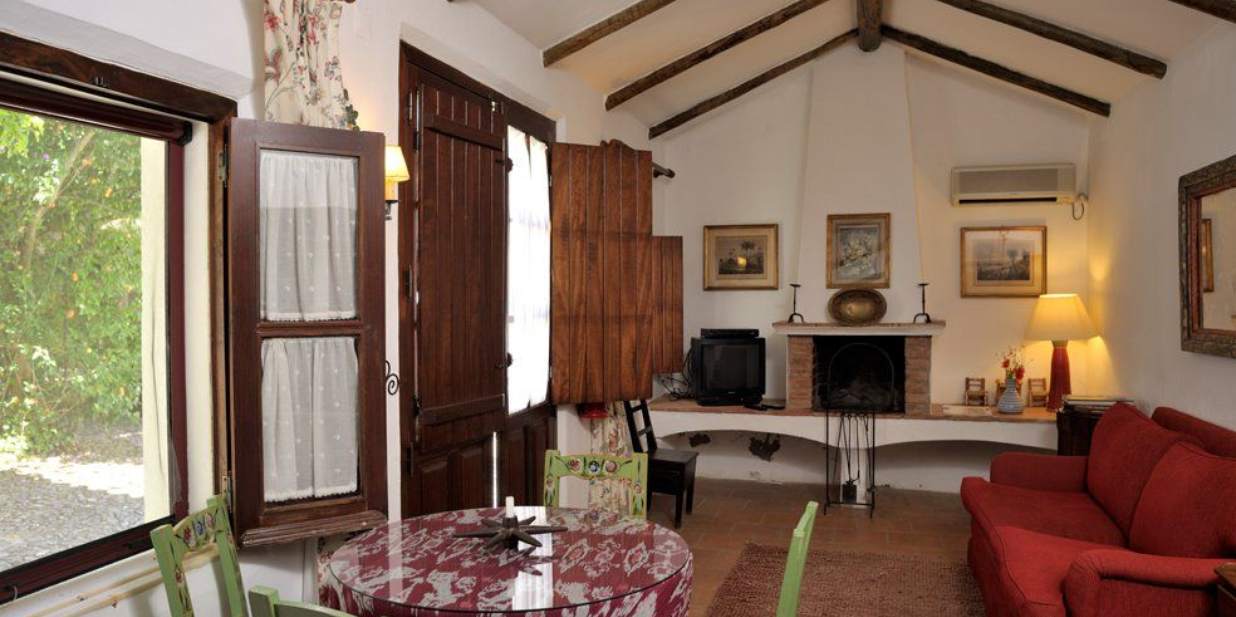 One-Bedroom Apartment3